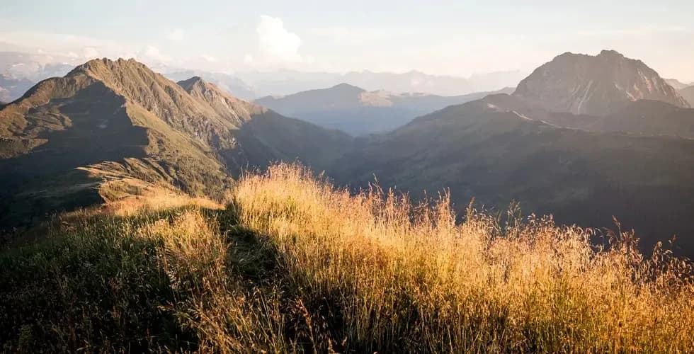 Apartment mit Hund in den Alpen mieten – Komfortabler Natururlaub